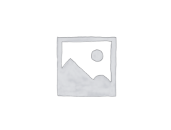 Mosquito-borne diseases has threaten World